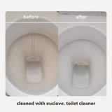 Toilet, Bath & Sink Cleaner