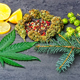 HEMP SEED OIL (90 Capsules)