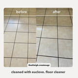 Floor Cleaner