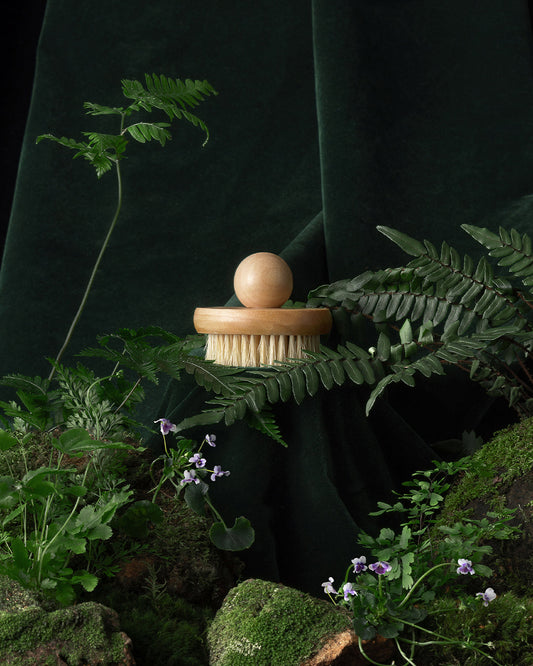 LOTUS WOOD BODY BRUSH