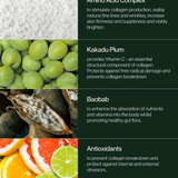 Native Collagen Booster