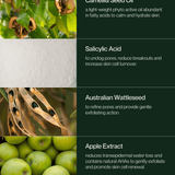 No.1 Belle Frais Cleansing Milk - NC