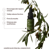 (Peri)Menopause Renewal Ritual