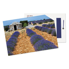 INCENSE GREETING CARDS